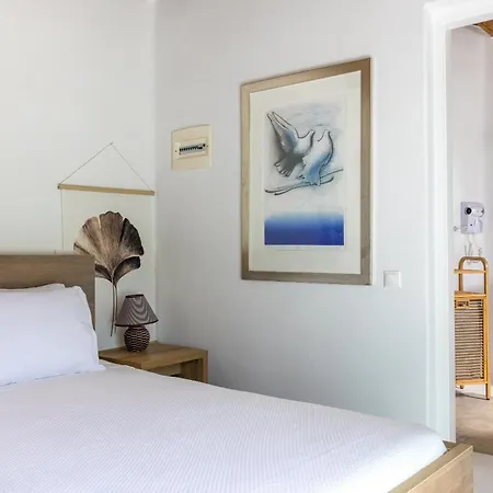 Zanetti Mykonos Agios Ioannis Diakoftis